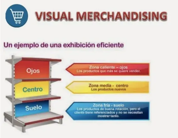 Visual merchandising estrucutura